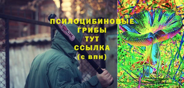 спиды Михайлов