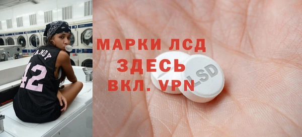 прущие грибы Надым