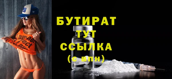прущие грибы Надым