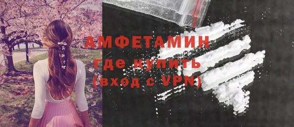 прущие грибы Надым