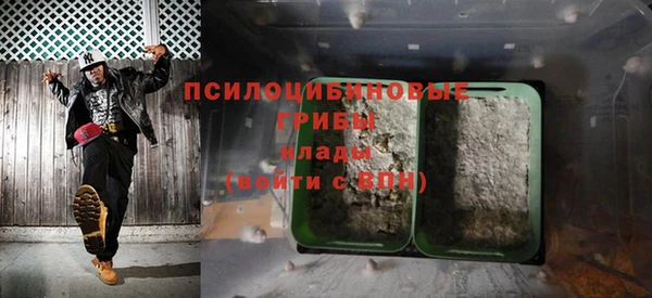 прущие грибы Надым