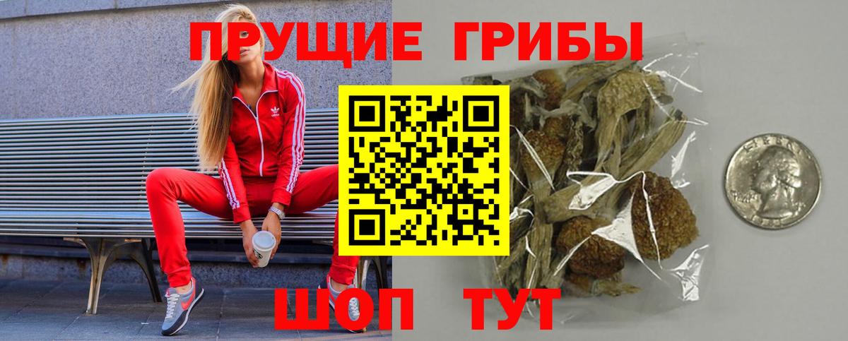 Торжок  Галлюциногенные грибы прущие грибы  Вход с VPN 