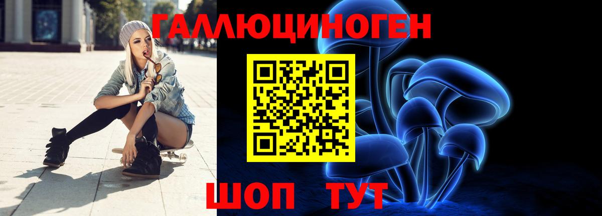 Псилоцибиновые грибы Psilocybine cubensis Торжок